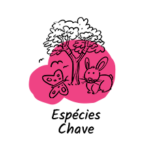 Éspecies chave