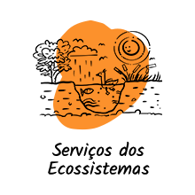 Serviços dos Ecossistemas